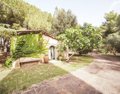 Relais Casale Il Poggetto – I PINI