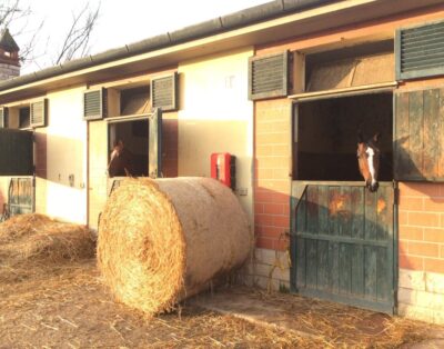 Turfrose di San Rossore – Trilocale