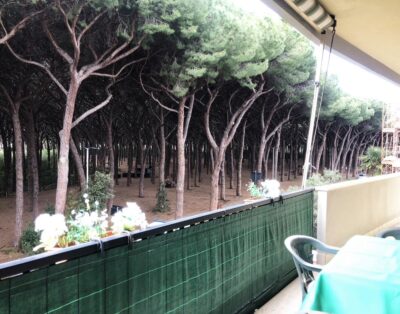 Appartamento Sara a Marina di Cecina